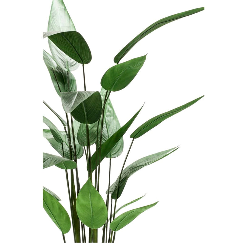Load image into Gallery viewer, Emerald kunstplant heliconia plant groen 125 cm 419837