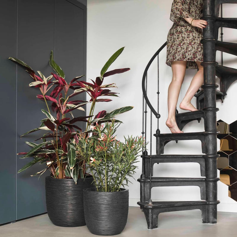 Load image into Gallery viewer, Capi bloempot nature rib 35x34 cm zwart kblr932