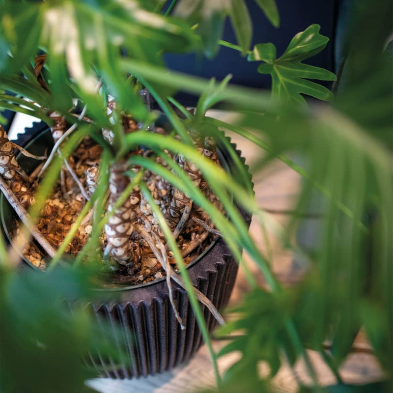 Load image into Gallery viewer, Capi Capi Bloempot Groove elegant 46x58 cm zwart