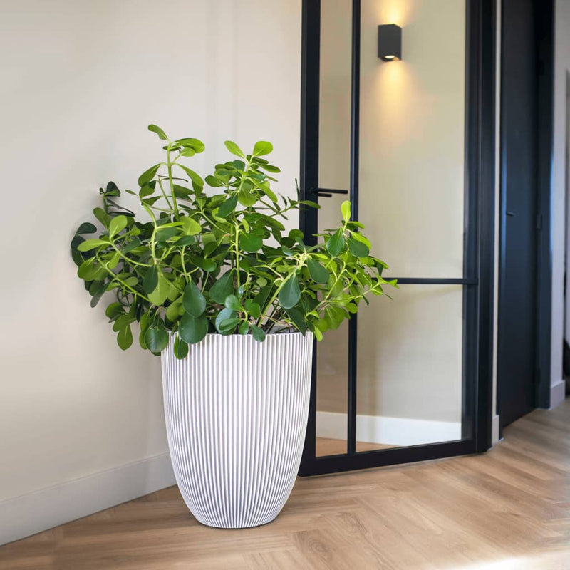 Load image into Gallery viewer, Capi bloempot groove elegant 34x46 cm ivoorkleurig