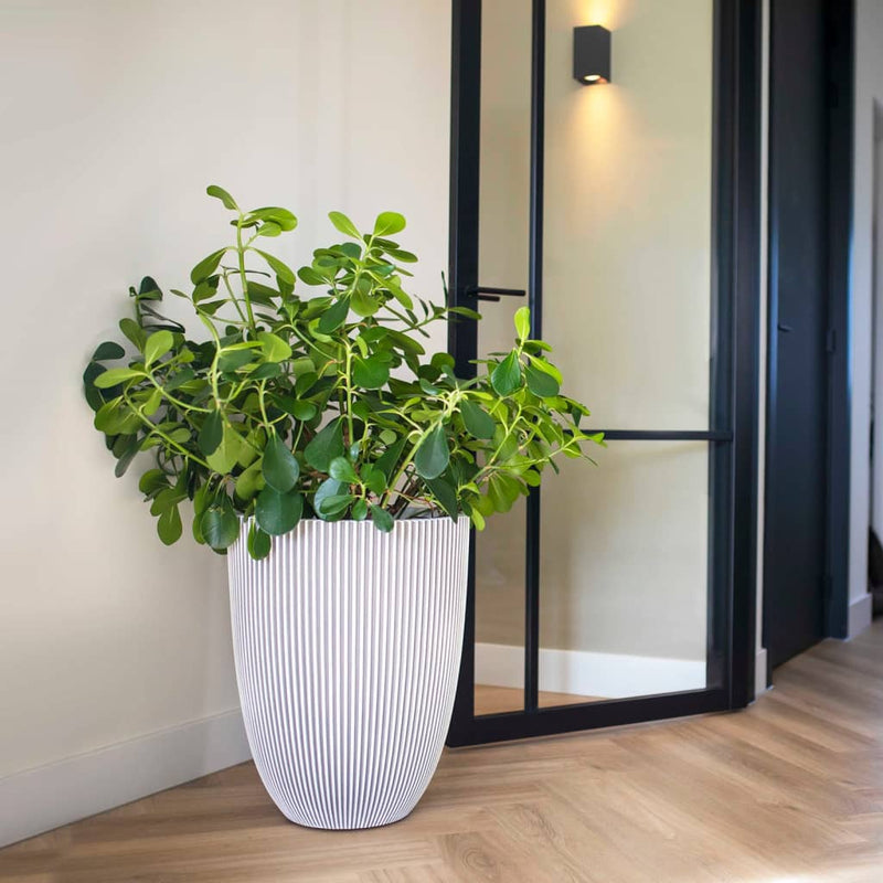 Load image into Gallery viewer, Capi bloempot groove elegant 46x58 cm ivoorkleurig