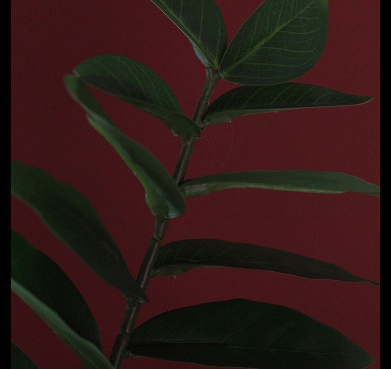 Afbeelding laden in galerijviewer, Countryfield kunstplant zamioculcas zamiifolia s groen 48x44x65cm