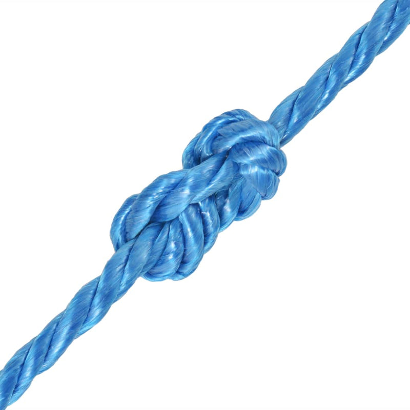 Load image into Gallery viewer, Vidaxl touw gedraaid 16 mm 250 m polypropyleen blauw