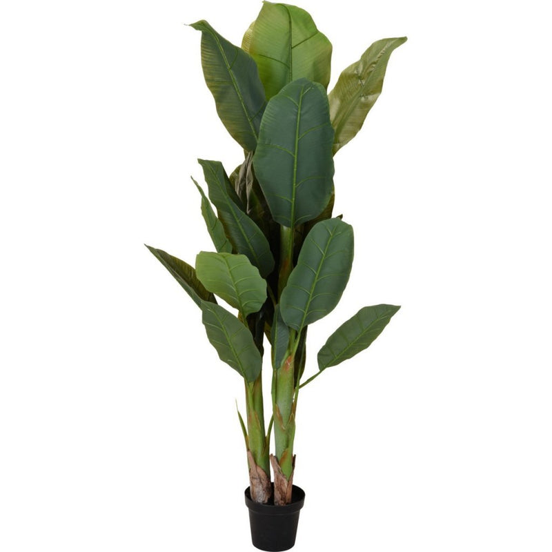 Afbeelding laden in galerijviewer, Overige merken kunstplant bananenboom 80x165 cm groen