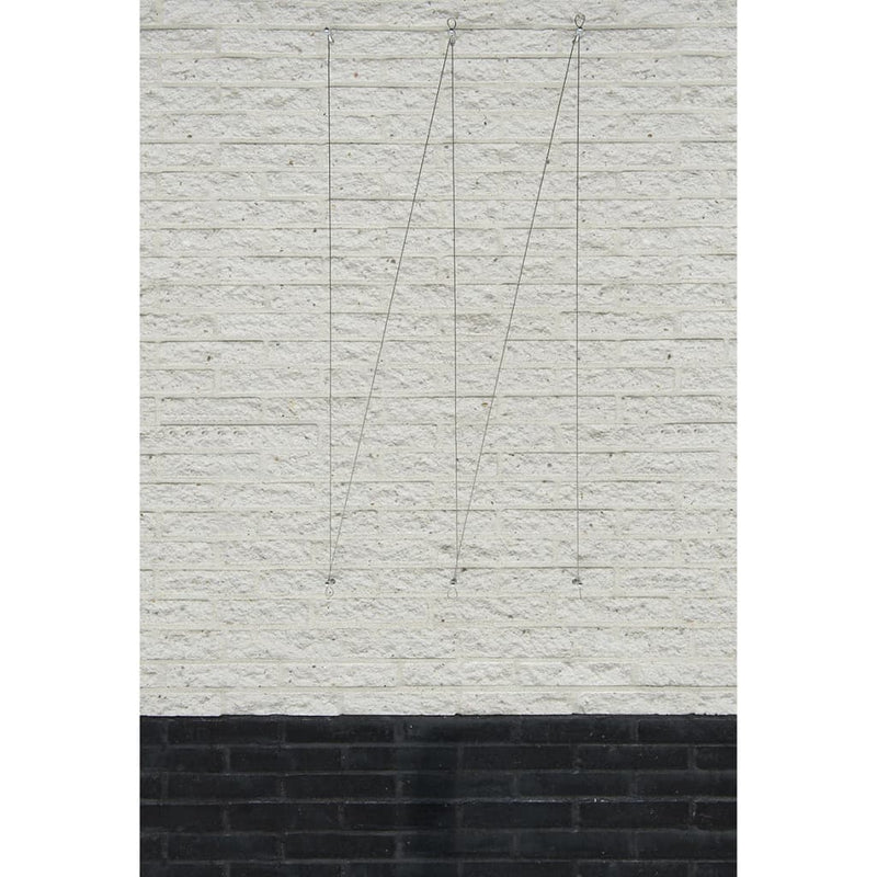 Load image into Gallery viewer, Nature Nature Spandraadsytemen voor klimplanten 2 st