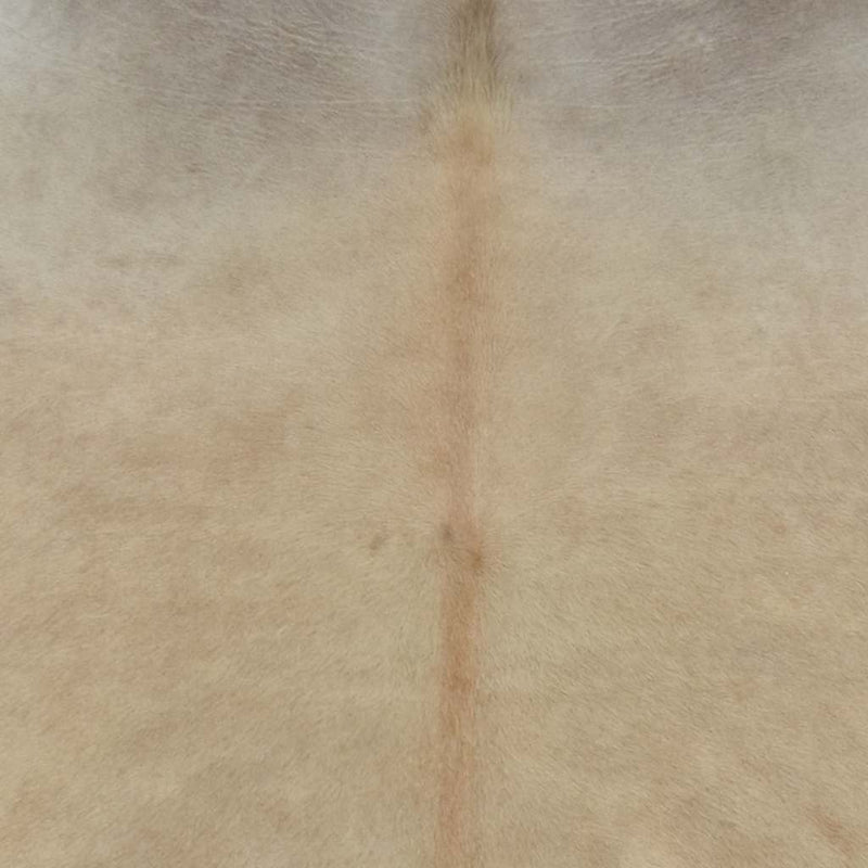 Load image into Gallery viewer, Vidaxl vloerkleed 150x170 cm echte runderhuid beige