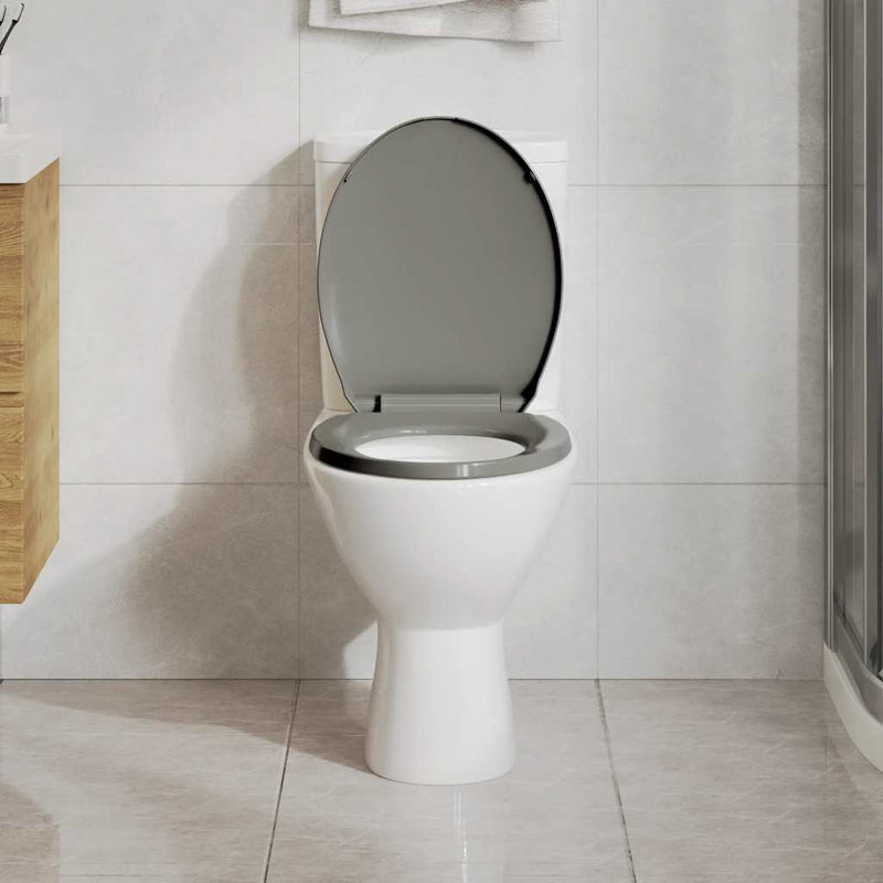 Load image into Gallery viewer, Vidaxl toiletbril soft-close en quick-release ovaal grijs