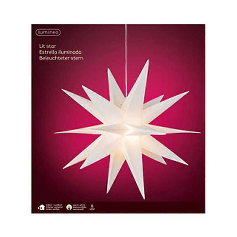 Load image into Gallery viewer, Lumineo Lumineo Kerstster PVC Steady Wit 6 LEDs Binnen Buiten 60 cm