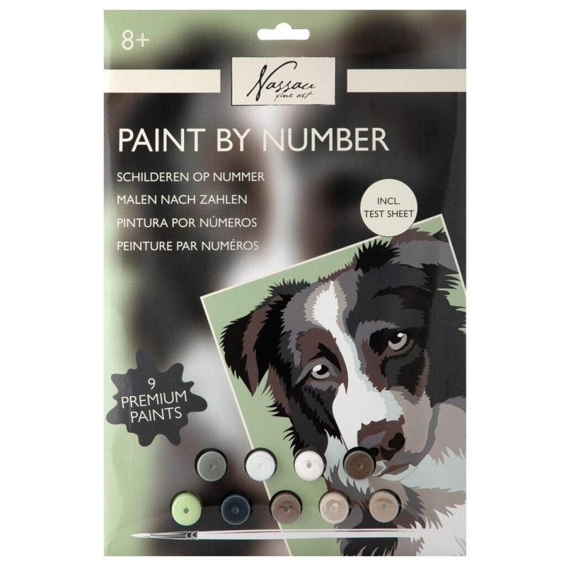 Load image into Gallery viewer, Nassau schilderen op nummer hond