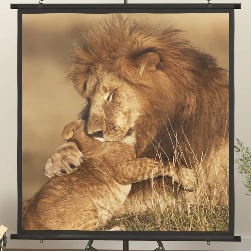 Load image into Gallery viewer, VidaXL Projectiescherm 1:1 67''