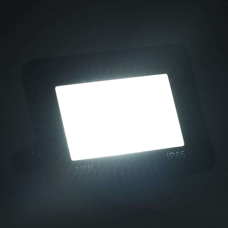 Load image into Gallery viewer, Vidaxl spotlights 2 st led 30 w koudwit