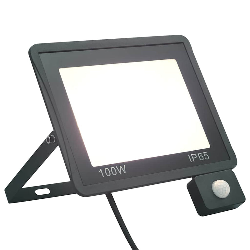 Afbeelding laden in galerijviewer, Vidaxl spotlight met sensor led 100 w koudwit