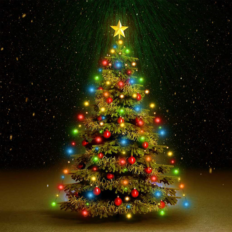 Afbeelding laden in galerijviewer, Vidaxl kerstboomverlichting met 210 led's meerkleurig net 210 cm