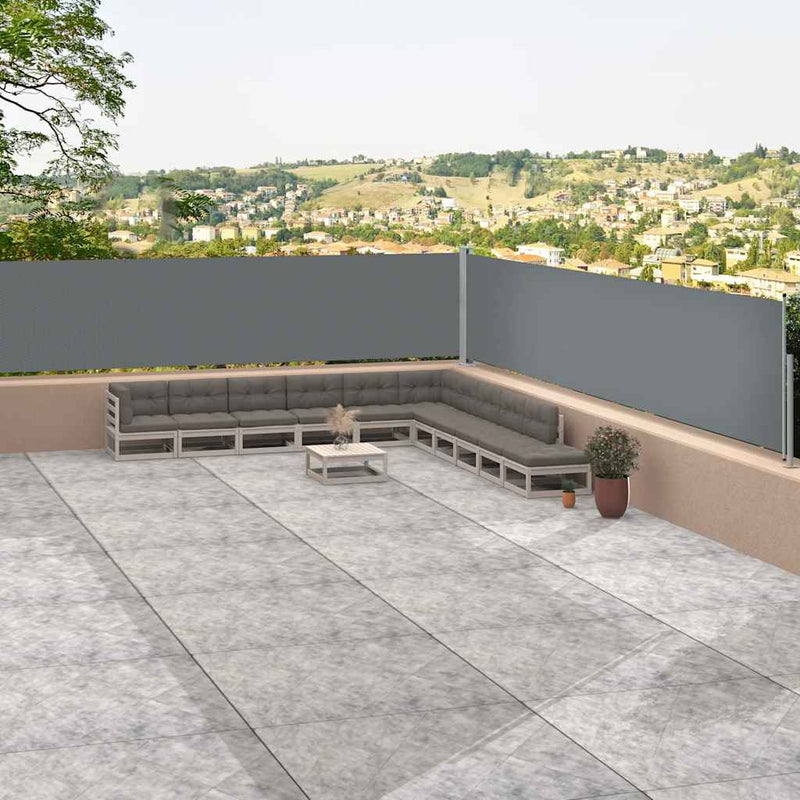 Load image into Gallery viewer, Vidaxl windscherm uittrekbaar 117x1200 cm antracietkleurig