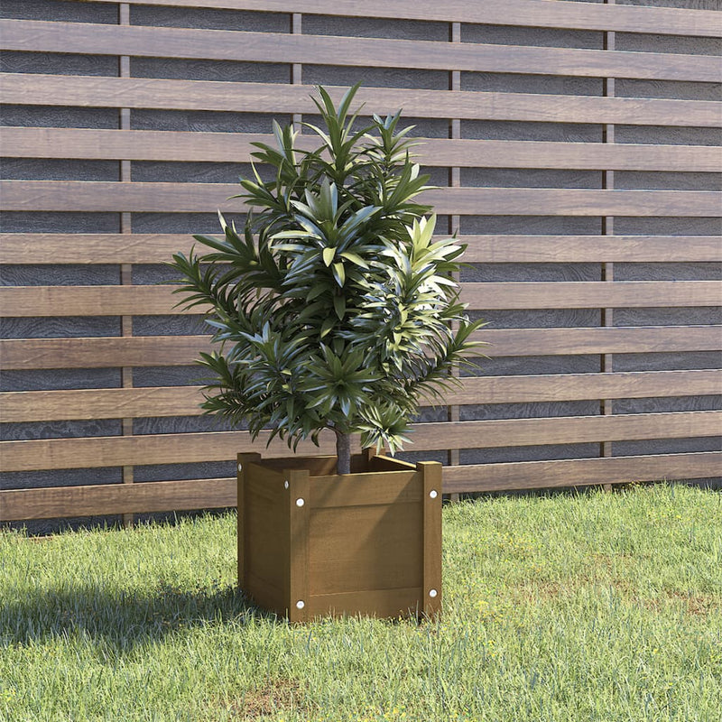 Load image into Gallery viewer, Vidaxl plantenbak 31x31x31 cm massief grenenhout honingbruin