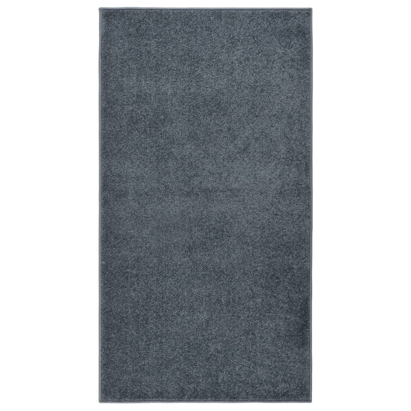 Load image into Gallery viewer, Vidaxl vloerkleed kortpolig 80x150 cm antracietkleurig