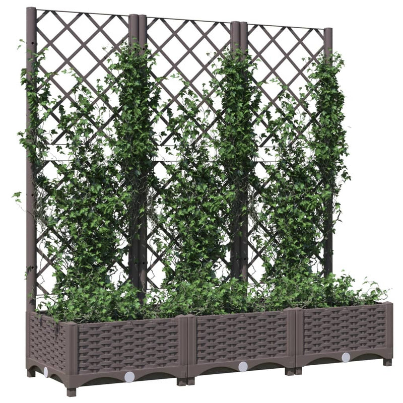 Load image into Gallery viewer, Vidaxl plantenbak met trellis bruin 120x40x121,5 cm pp