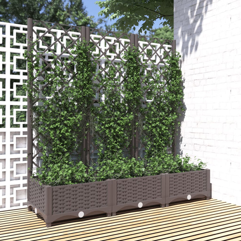 Load image into Gallery viewer, Vidaxl plantenbak met trellis bruin 120x40x121,5 cm pp
