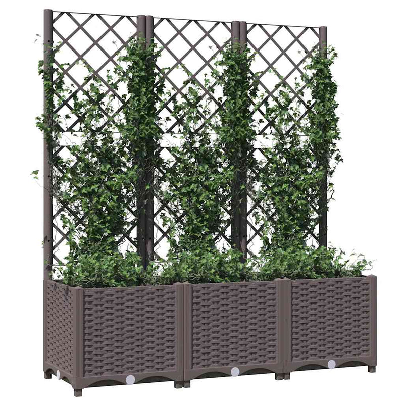 Load image into Gallery viewer, Vidaxl plantenbak met trellis bruin 120x40x136 cm pp