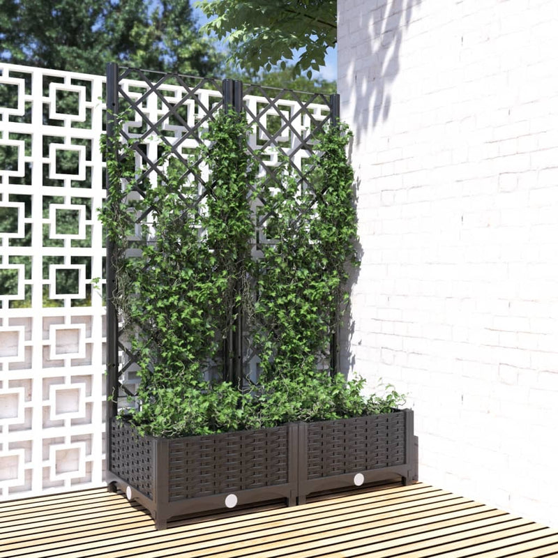 Load image into Gallery viewer, Vidaxl plantenbak met trellis zwart 80x40x121,5 cm pp