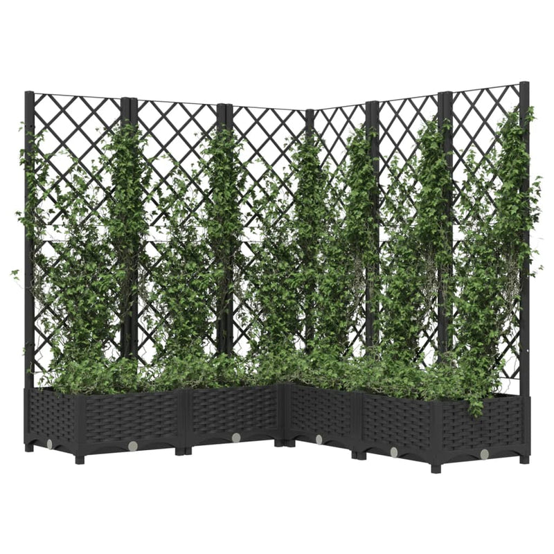 Load image into Gallery viewer, Vidaxl plantenbak met latwerk 120x120x121,5 cm polypropeen zwart