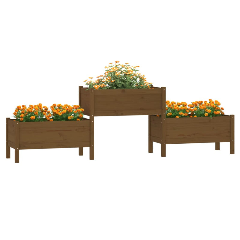 Load image into Gallery viewer, Vidaxl plantenbak 245,5x44x75 cm massief grenenhout honingbruin