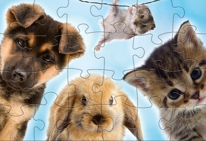 Load image into Gallery viewer, Rebo legpuzzel 2x24 stukjes - baby anima