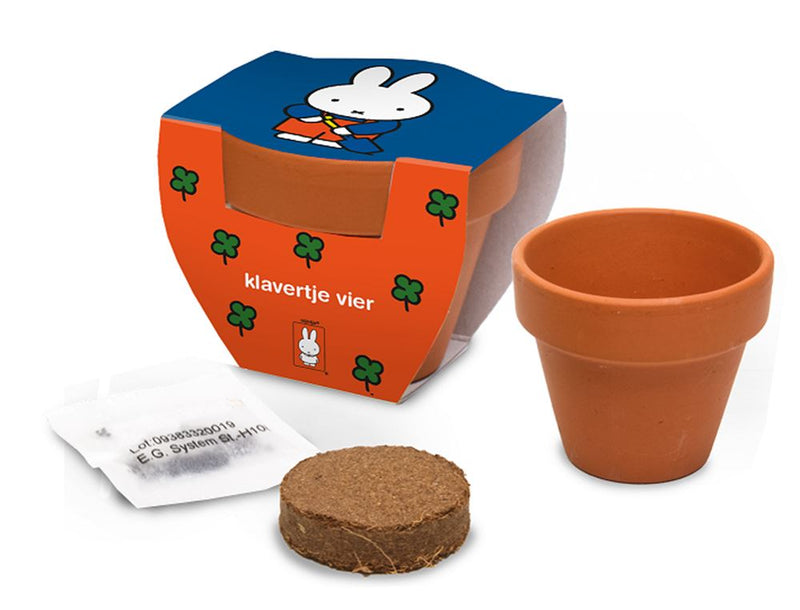 Afbeelding laden in galerijviewer, Nijntje terracota pot klavertje vier.