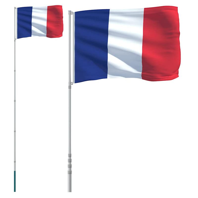 Load image into Gallery viewer, VidaXL Vlag met vlaggenmast Frankrijk 5,55 m aluminium