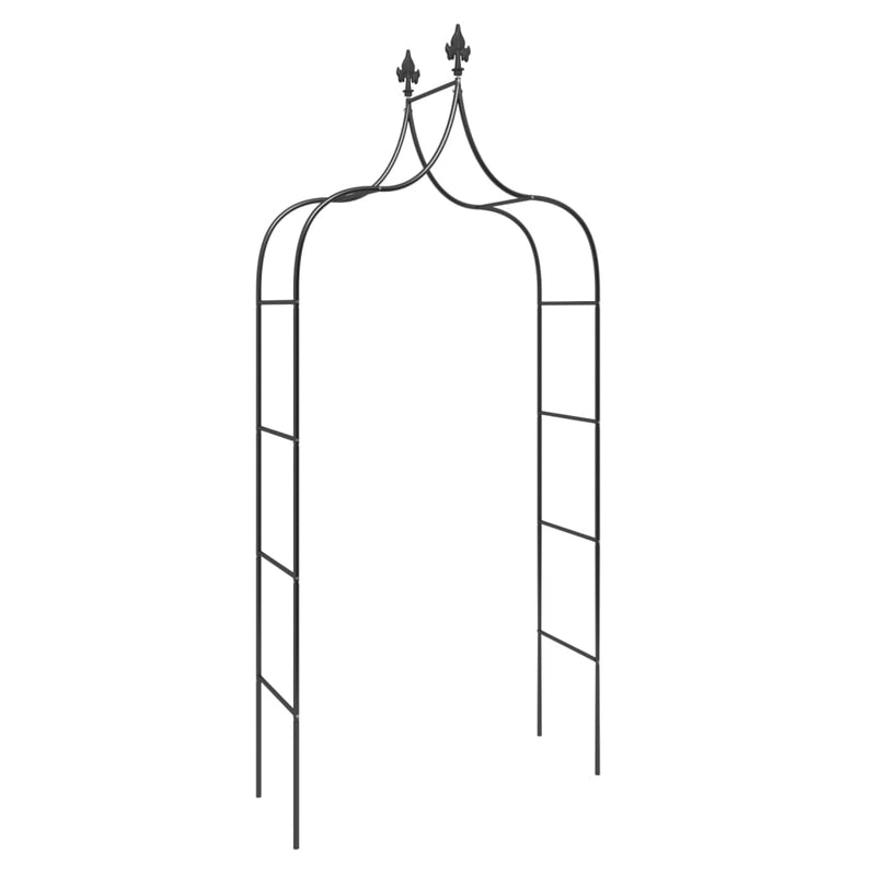 Load image into Gallery viewer, Vidaxl tuinbogen 2 st 120x38x260 cm staal zwart