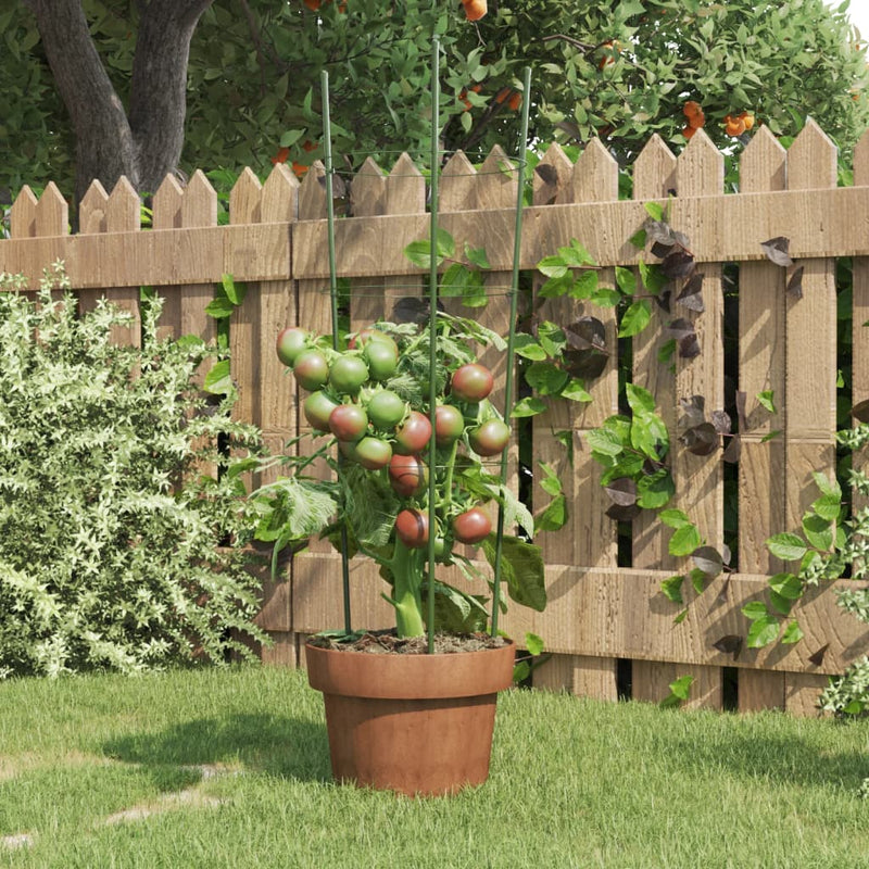 Load image into Gallery viewer, Vidaxl plantensteunen 5 st met 3 ringen 60 cm staal groen
