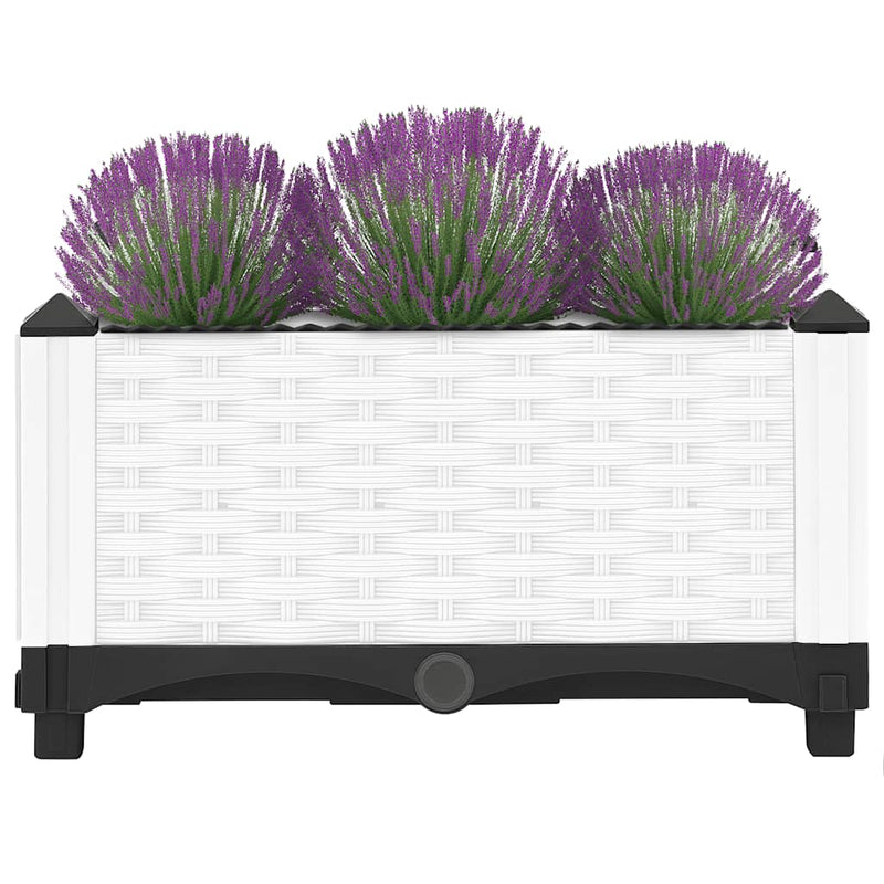 Load image into Gallery viewer, Vidaxl plantenbak verhoogd 40x40x23 cm polypropeen