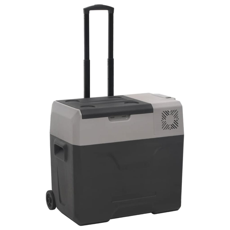 Load image into Gallery viewer, Vidaxl koelbox met wielen en handvat 50 l polypropeen zwart en grijs