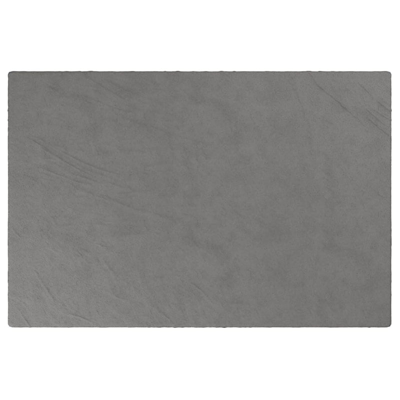 Load image into Gallery viewer, Vidaxl verzwaringsdeken met hoes 122x183 cm 5 kg stof grijs