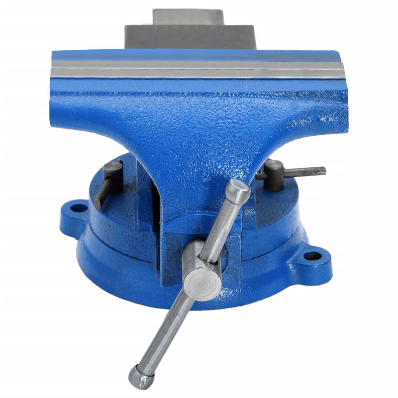 Load image into Gallery viewer, Vidaxl bankschroef 125 mm gietijzer blauw