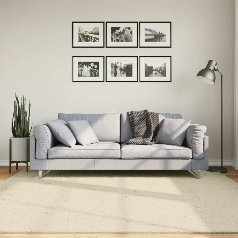 Afbeelding laden in galerijviewer, Vidaxl vloerkleed huarte laagpolig zacht wasbaar 200x200 cm crème
