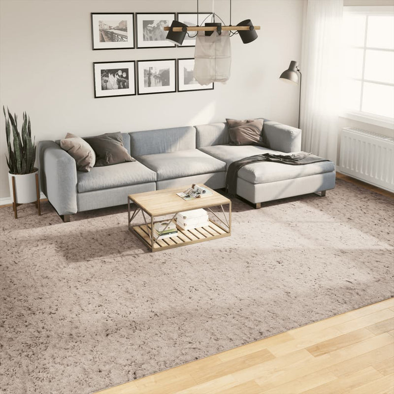 Afbeelding laden in galerijviewer, VidaXL Vloerkleed PAMPLONA shaggy hoogpolig modern 300x400 cm beige