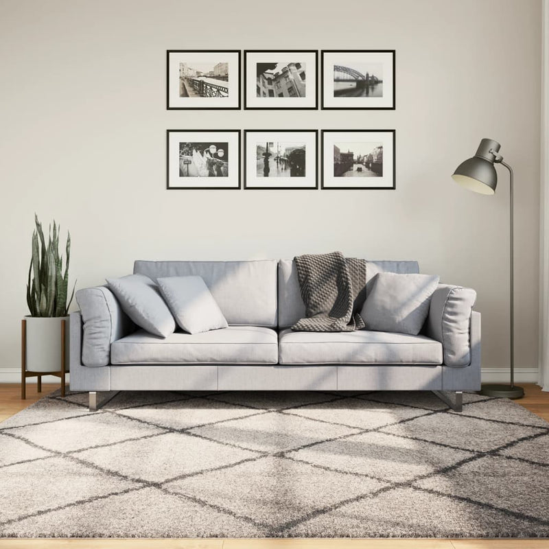 Afbeelding laden in galerijviewer, VidaXL Vloerkleed PAMPLONA shaggy hoogpolig 200x200 cm beige antraciet