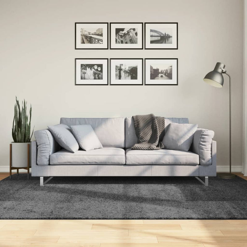 Load image into Gallery viewer, Vidaxl vloerkleed oviedo laagpolig 160x230 cm antracietkleurig