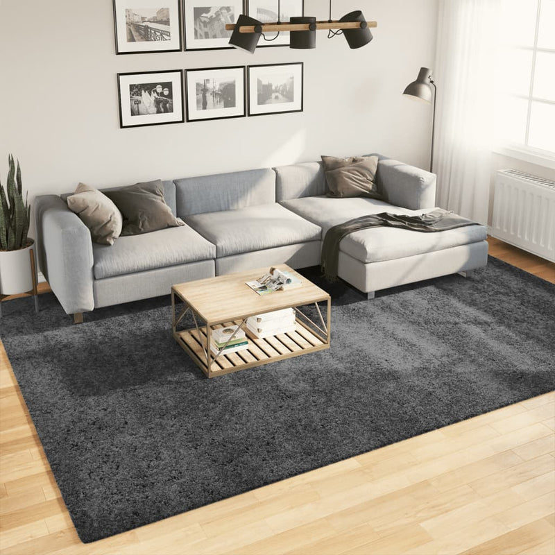 Load image into Gallery viewer, Vidaxl vloerkleed oviedo laagpolig 240x340 cm antracietkleurig