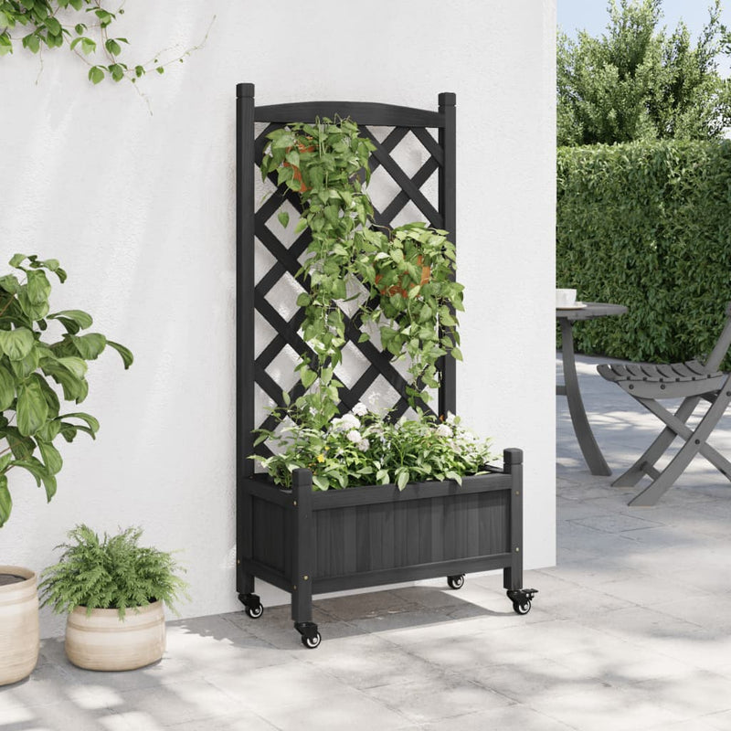 Load image into Gallery viewer, Vidaxl plantenbak met latwerk en wielen massief vurenhout zwart