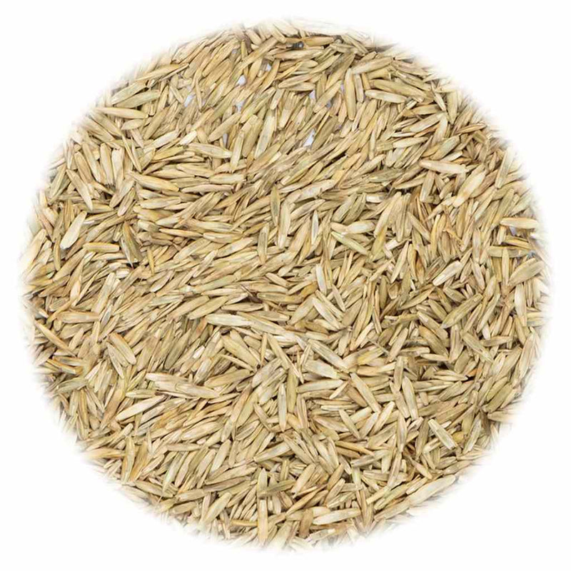 Afbeelding laden in galerijviewer, Vidaxl graszaad 5 kg