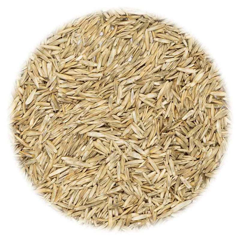 Afbeelding laden in galerijviewer, VidaXL Graszaad 20 kg