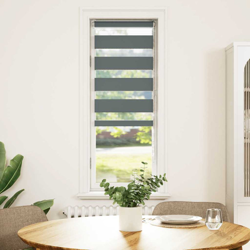 Load image into Gallery viewer, Vidaxl zebra rolgordijn 50x100 cm stofbreedte 45,9cm donkergrijs