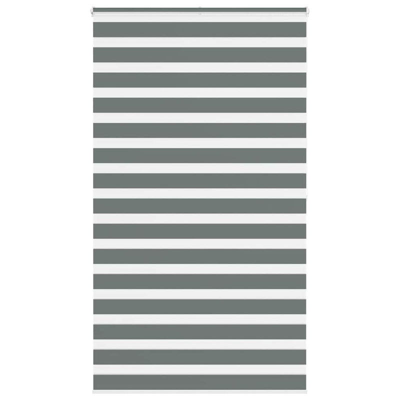 Load image into Gallery viewer, Vidaxl zebra rolgordijn 120x200 cm stofbreedte 115,9 cm donkergrijs
