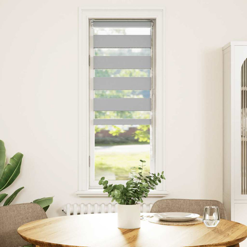 Load image into Gallery viewer, Vidaxl zebra rolgordijn 50x100 cm stofbreedte 45,9cm lichtgrijs