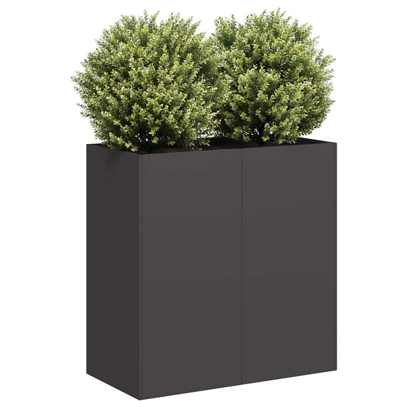 Load image into Gallery viewer, Vidaxl plantenbak 80x40x80 cm koudgewalst staal zwart