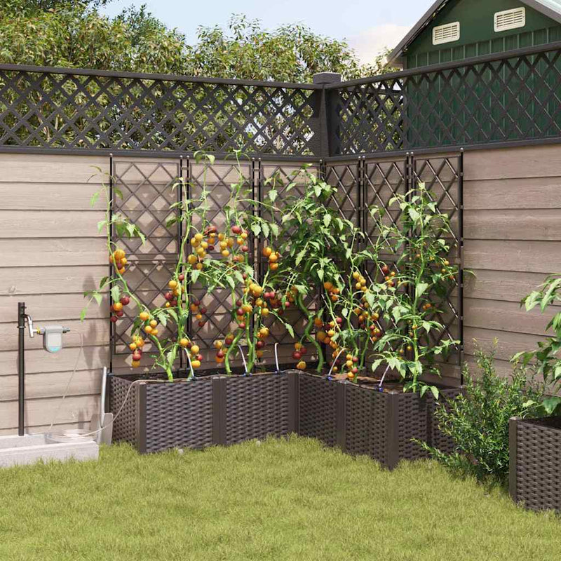 Load image into Gallery viewer, Vidaxl tuin bloempot 5 pcs bruin staal