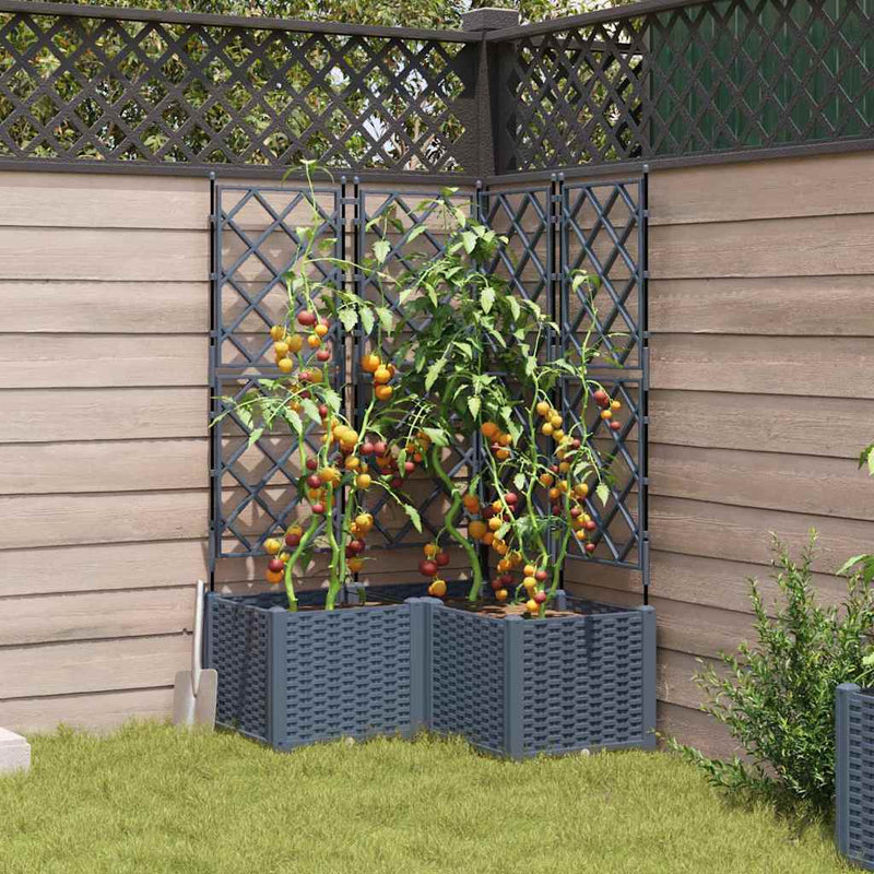 Load image into Gallery viewer, Vidaxl tuin bloempot 3 pcs licht grijs 80 x 80 x 143 cm staal