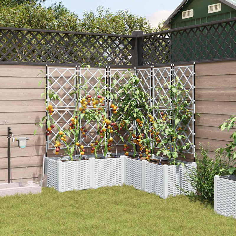 Load image into Gallery viewer, Vidaxl tuin bloempot 5 pcs wit staal